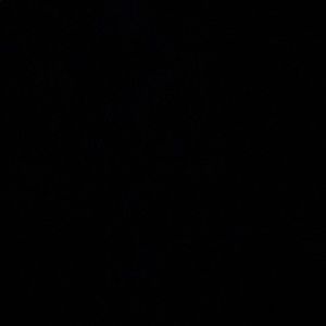 Meet your Posher, Itzell